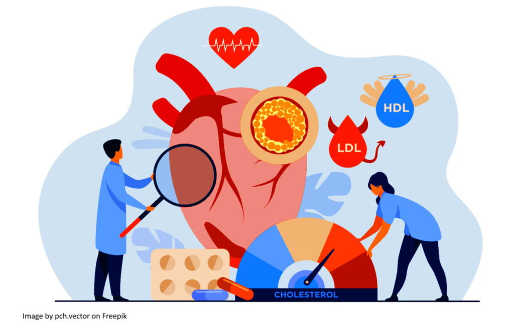 Hyperlipidemia ภาวะไขมันในเลือดสูงเสี่ยงต่อโรคร้ายแรงอะไรมาดูกัน