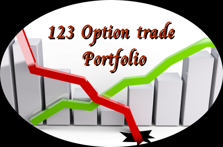 โปรแกรม 123 Option trade portfolio บันทีกผลการเทรด
